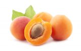 Apricot Filling